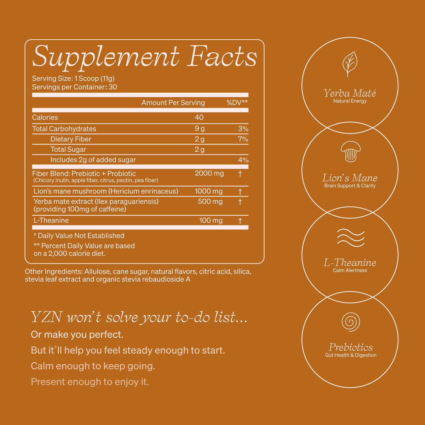 Peach Mango Yerba Blend